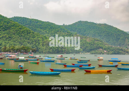 Bunte Kanu Boote schwimmend in Phewa See in Pokhara, Nepal Stockfoto