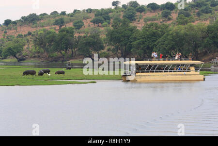 Touristen anzeigen hippos von einer Tour Boot am Chobe River in den Chobe National Park, Botswana. Stockfoto