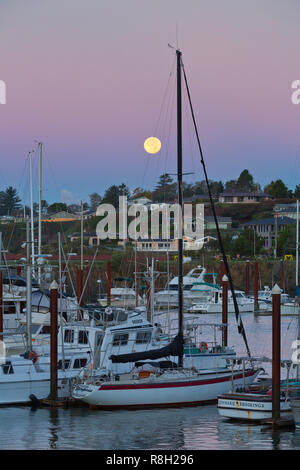 Der Vollmond im Sonnenaufgang über Brookings Hafen in Brookings, Oregon. USA Stockfoto