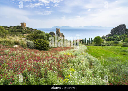 Frühling Blumen in der Nähe von Tonnara di Scopello, Castellammare del Golfo, Sizilien, Italien Stockfoto