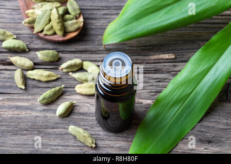 Eine Flasche Öl mit frischen cardamon Anlage und ganze Samen Stockfoto