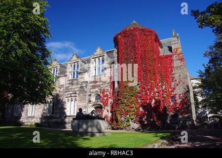 Neue Könige Gebäude an einem sonnigen Herbsttag geschmückt in Rot Klettern Ivy. Universität von Aberdeen, Schottland, Großbritannien. Stockfoto