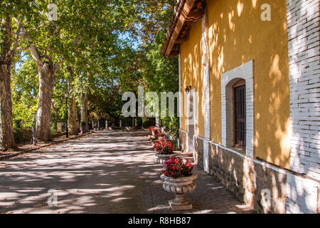 Einen schattigen Bäumen gesäumte Einfahrt in eine Bodega in Aragonien, Spanien in der Nähe der Pyrenäen Stockfoto