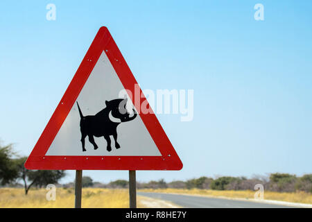 Schild die Treiber der möglichen Warzenschwein zu warnen, Kreuzung Stockfoto