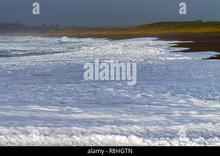 Rote Litze, Rosscarbery, West Cork, Irland, 15. Dezember 2018. Sturm Deirdre geschoben Wellen und Brandung gut am Strand heute, dass der Strand gefährliche für unvorsichtige Wanderer. Credit: aphperspective/Alamy leben Nachrichten Stockfoto