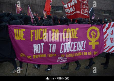 Wien, Österreich. 15. Dezember 2018. Die Allianz Hot Autumn, bestehend aus linksgerichteten und gewerkschaftlichen Organisationen, hat am Samstag eine "große Demonstration" gegen die österreichische Bundesregierung angekündigt, bei der bis zu zehntausend Demonstranten erwartet werden.Kredit: Franz PERC / Alamy Live News Stockfoto