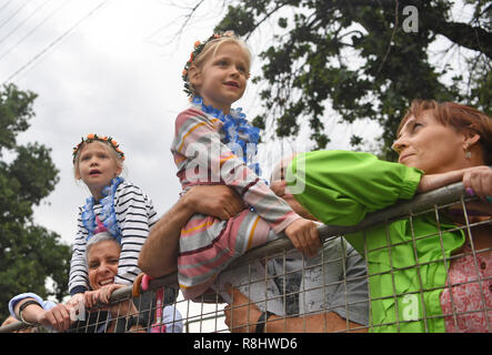 (181216) - Peking, Dez. 16, 2018 (Xinhua) - Besucher gekleidet eine Blume Watch schwimmt Parade entlang der Straße in der Provinz von Südafrika, Dez. 8, 2018. (Xinhua / Chen Cheng) Stockfoto