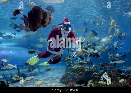 (181216) - Peking, Dez. 16, 2018 (Xinhua) - ein Taucher in einem Weihnachtsmann Kostüm feeds Fisch im Manila Ocean Park in Manila auf den Philippinen, Dez. 13, 2018. (Xinhua / rouelle Umali) Stockfoto