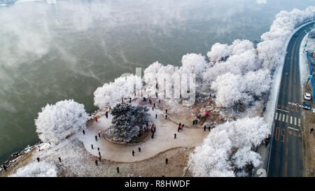 (181216) - Peking, Dez. 16, 2018 (Xinhua) - Foto am Dez. 11, 2018 zeigt die frostigen Bäumen an der Bank der Songhua Fluss in Jilin Stadt genommen, im Nordosten der chinesischen Provinz Jilin. (Xinhua / Zhu Dapeng) Stockfoto