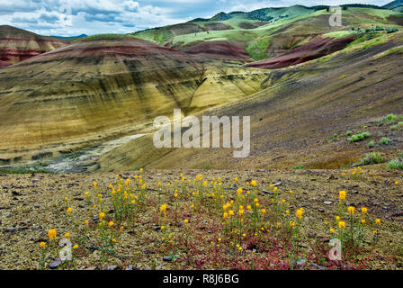 Goldene Biene Pflanzen (Cleome platycarpa) mit dem Painted Hills von John Day Fossil Beds National Monument in zentralen Oregon im Hintergrund. Stockfoto
