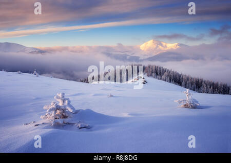 Frostigen morgen in den Bergen. Das Dorf der Hirten auf der Wiese. Frischer Schnee auf den Bäumen und Hügeln. Berge Karpaten, Ukraine Stockfoto