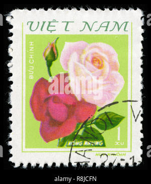 Briefmarke aus Vietnam in die Rosen Serie 1980 ausgestellt Stockfoto