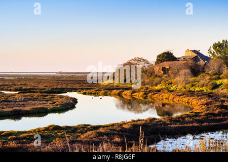 Sonnenuntergang von Vegetation und Gezeiten Marsh in Alviso, Don Edwards San Francisco Bay National Wildlife Refuge, San Jose, Kalifornien Stockfoto