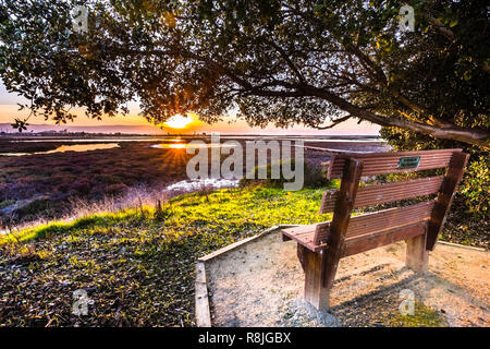 Sitzbank auf der Küstenlinie von Alviso Marsh, Don Edwards San Francisco Bay National Wildlife Refuge, San Jose, Kalifornien Stockfoto