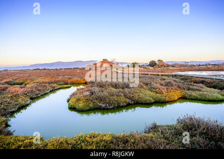 Sonnenuntergang von Vegetation und Gezeiten Marsh in Alviso, Don Edwards San Francisco Bay National Wildlife Refuge, San Jose, Kalifornien Stockfoto