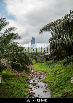 Pico do Cão Grande zwischen den Palmen Stockfoto