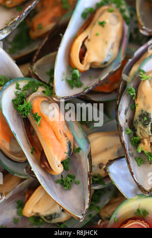 Grüne Muschelschalen Stockfoto