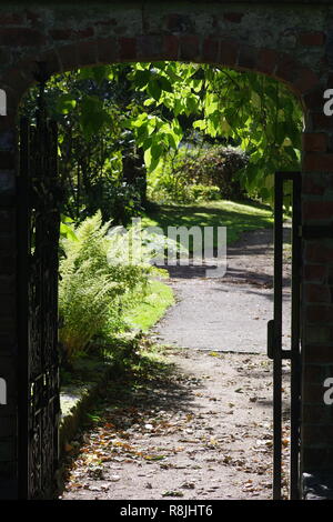 Hintergrundbeleuchtung Farne durch das offene Tor des ummauerten Garten. Cruickshank Botanic Garden, auf einem sonnigen Herbst Tag. Universität Aberdeen, Schottland, Großbritannien. Stockfoto