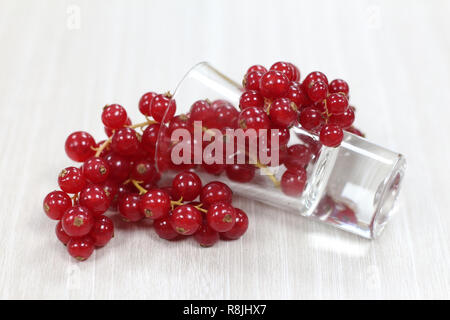 Rote Johannisbeere auf weißem Hintergrund Stockfoto