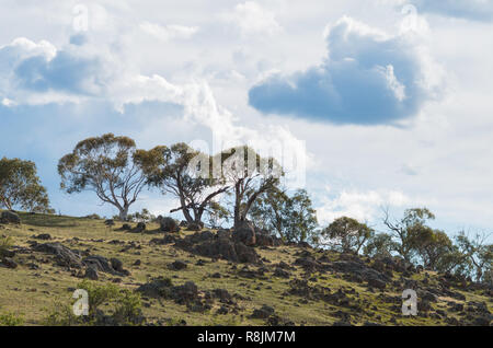 Rocky australische Landschaft an einem bewölkten Tag, wenn die Sonne beginnt kommenden Stockfoto