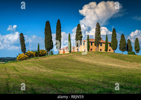 Sommerurlaub und Reiseziel, fantastische traditionelle Toskana Haus aus Stein auf dem Hügel, mit Zypressen Bäume, Pienza, Toskana, Italien, Europ. Stockfoto