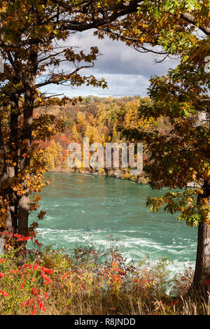 Die Aussicht auf die Niagara Whirlpool auf der kanadischen und US-amerikanischen Grenze. Im Hintergrund ist das bunte Laub der Bäume im Herbst gesehen werden, Stockfoto