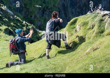 Dänemark, Färöer Inseln, Insel Mykines, Papageitaucher (Fratercula arctica), Mann und Frau fotografieren Stockfoto