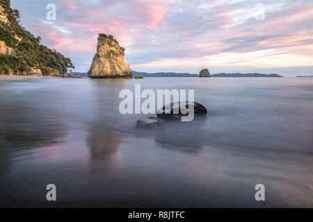 Cathedral Cove, Hahei, Coromandel Halbinsel, North Island, Neuseeland Stockfoto