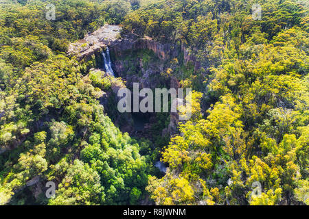 Erodiert Creek an der Spitze von Kangaroo Valley, Kangaroo Flusses, Streaming als Carrington innen Gummi tief fällt, Baum, Wald. Stockfoto