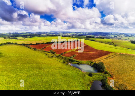 Rote Erde auf bebautes Feld von grünen Weidevieh Farmen in der Nähe von regionalen Stadt Dorrigo an einem sonnigen Tag im Luftbild umgeben. Stockfoto
