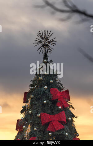 VILNIUS, LITAUEN - 26. Dezember 2017: dekorierte und beleuchtete Weihnachtsbaum bei Sonnenuntergang am Rathausplatz, Litauen, Baltische Staaten Stockfoto
