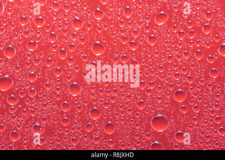 Red water drops oder Tropfen auf ein Glas Makroaufnahme Nahaufnahme. Regentage. Stockfoto