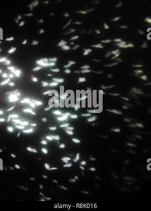 Abstract lens flare auf Hintergrund. Defokussierten bokeh leuchtet. blur Weihnachten wallpaper Dekor. festliche leuchtende Kreise Design. Stockfoto