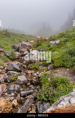 Steinigen schmalen Kaution von bunten Steine im Tal in der Nähe der Wiese Stockfoto