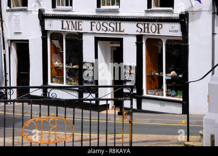 Lyme Fossil Shop, Lyme Regis, Dorset, England Stockfoto