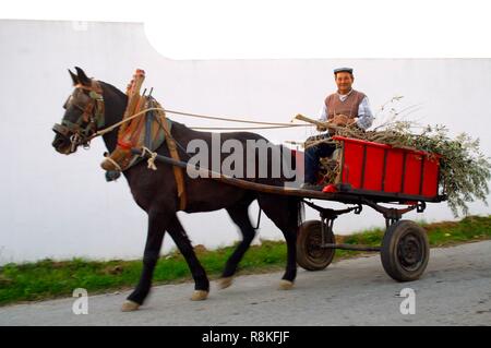 Portugal, Alentejo, street scene Stockfoto