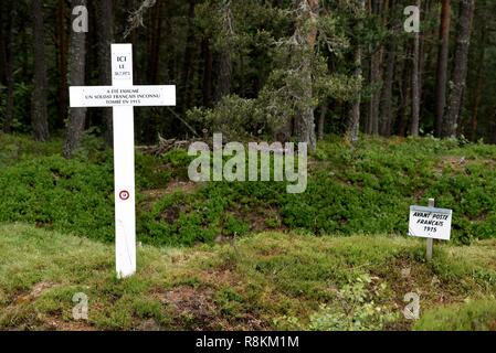 Frankreich, Haut Rhin, Hautes Vosges, über Orbey, Col du Linge, Schlachtfeld des Ersten Weltkriegs, schwere Kämpfe im Jahre 1915, Kreuz Stockfoto