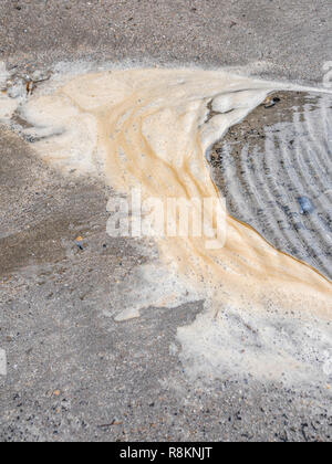 Dünne Aggregation von Strand Meer Schaum. Eher unangenehm, aber nicht unbedingt giftig, es sei denn, von der Algenblüte oder verschmutzten Abfluss gebildet. Stockfoto