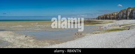 Frankreich, Normandie, Seine Maritime, Veules les Roses, Saint Valery en Caux, Meerseite Stockfoto