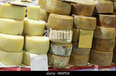 Käse zum Verkauf und der Text Pecorino Das bedeutet aus Schafmilch in italienischer Sprache Stockfoto