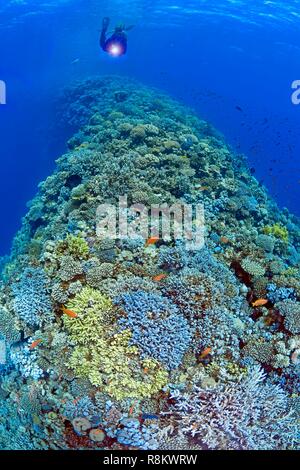 Ägypten, Rotes Meer, Dahab, Blue Hole tauchen Website Stockfoto