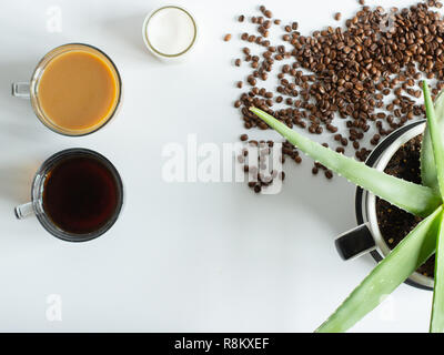 Aloe Vera Pflanze in eine Kaffeetasse Pflanzmaschine mit Kaffee und Sahne und Kaffee Bohnen auf einem weißen Tisch. Platz kopieren Stockfoto