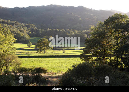 Ein Blick über Easedale, Grasmere im Lake District Stockfoto