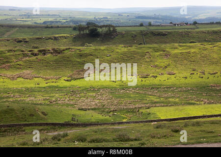 Blick nach Süden über das VALLUM von Housesteads Hill Fort, Hadrian's Wall, Northumberland Stockfoto