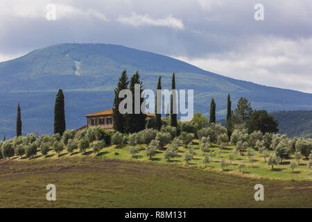 Italien, Toskana, Val d'Orcia als Weltkulturerbe von der UNESCO, Kampagne rund um San Quirico d'Orcia mit Blick auf den Monte Amiata (1738 m) und die Skipiste Stockfoto