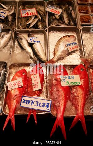 Japan, Tokio, Tsukjii Fischmarkt, verschiedene Displays Stockfoto