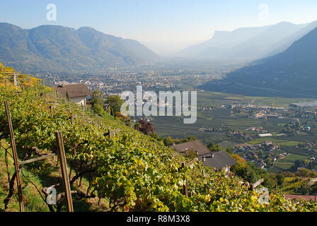 Ein Blick auf das Etschtal standind in einem vieyard, von Meran nach Bozen, Südtirol, Italien Stockfoto