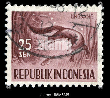 Briefmarke aus Indonesien in die Fauna Serie 1956 ausgestellt Stockfoto