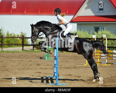 Junge Sport mädchen sprung Hindernis mit Bay Horse Stockfoto