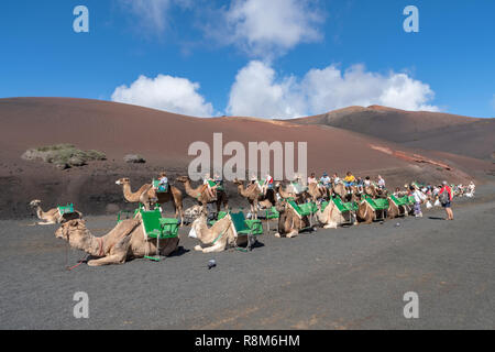 Touristen auf dem Kamel Tour in den Nationalpark Timanfaya auf Lanzarote Stockfoto